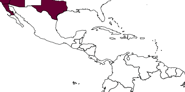 map of Osmia coloradensis     Cresson, 1878